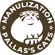 Manulization (Pallass Cats)