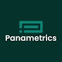 Panametrics logo