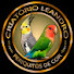 dHVoPOoIfWg-channel-avatar-Leandrosouza