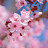 @AbdullahSk-w4q