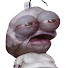 9_nKaXDi5is-channel-avatar-Vergil02