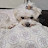 @루루박동희
