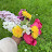 @Shakila_18_I