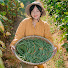YUZdNyVBJpw-channel-avatar-Lâm Anh Offilcial