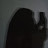 @Nour_Emad_00