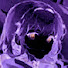_6H7MtyE-R8-channel-avatar-NuII