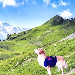 Snowathegolden