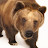 @bigg.grizzlybear2670