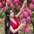 KapV0Fe7k3s-channel-avatar-Mai Harvest Life