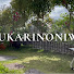 iCc8uLHD91U-channel-avatar-yukarinoniwa