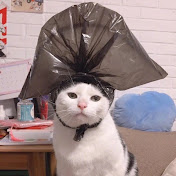 Tiktok Funny animals