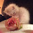 @menna_3mr