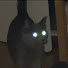 0_yBmzlT1cs-channel-avatar-댝생