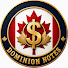 Q4oElAcwFnk-channel-avatar-Dominion Notes