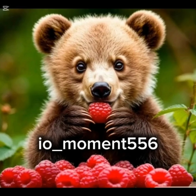 io_moment566