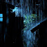 4b_fnAcKzJg-channel-avatar-Aurain Haven