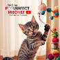 The Purrfect Mischief logo
