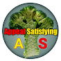 Appeal Satisfying logo