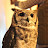 Owl-Righty