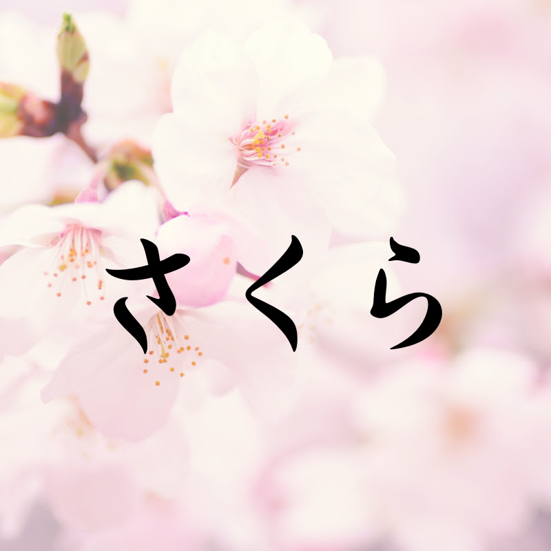 感動さくら YouTubeチャンネル画像