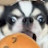 @hellosdliksdf