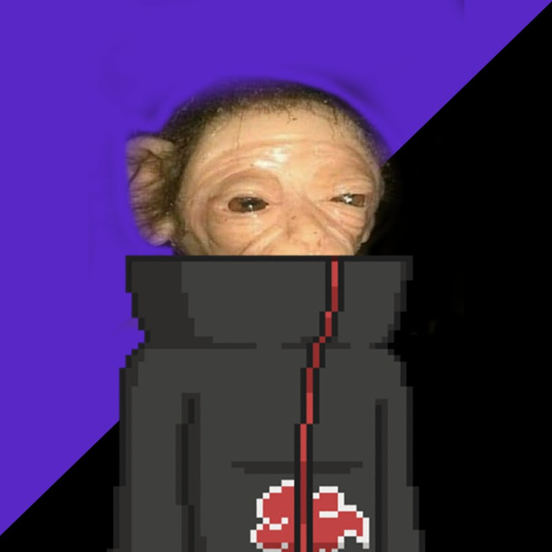 The Chimp