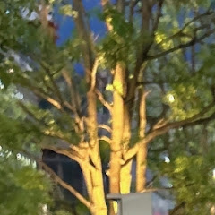 ネロ
