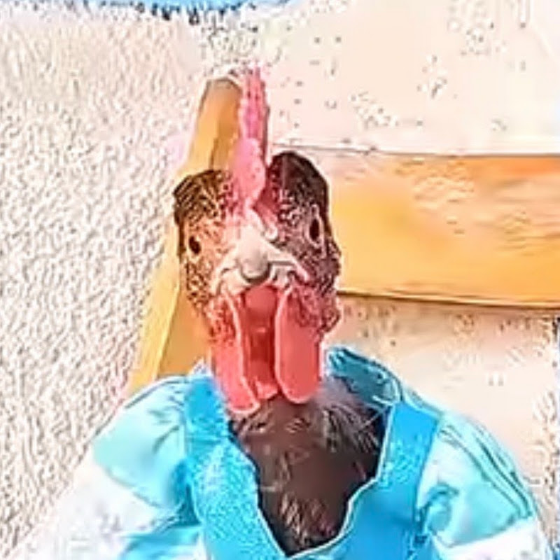 basketball-chicken