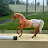 Gigi Sophia Equine