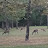 @Ozarkprepper643 Avatar