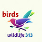 birds wildlife 313 logo