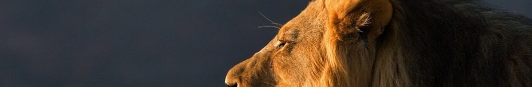 NewYork Lions Kite Club YouTube channel avatar