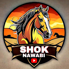 SHOK NAWABI avatar