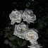 SX2L8FVnVvE-channel-avatar-𝑅𝑛
