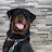 @shitkid.05 Avatar