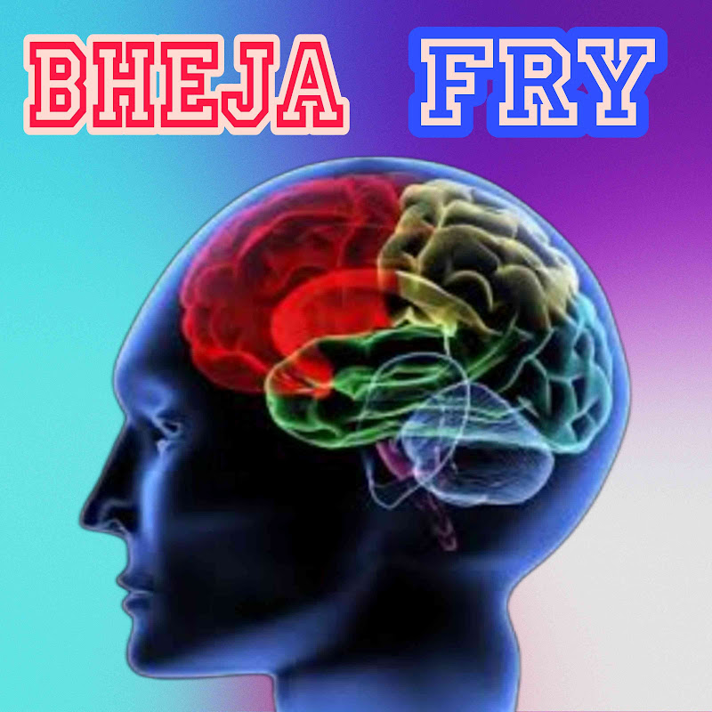 BHEJA FRY