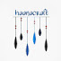 wrjwcOSLRyE-channel-avatar-Haanacraft