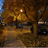 MM4HIrJ6v3g-channel-avatar-Dreamy Evening Hours