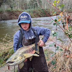 HuntersFlies