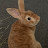 @natothebun