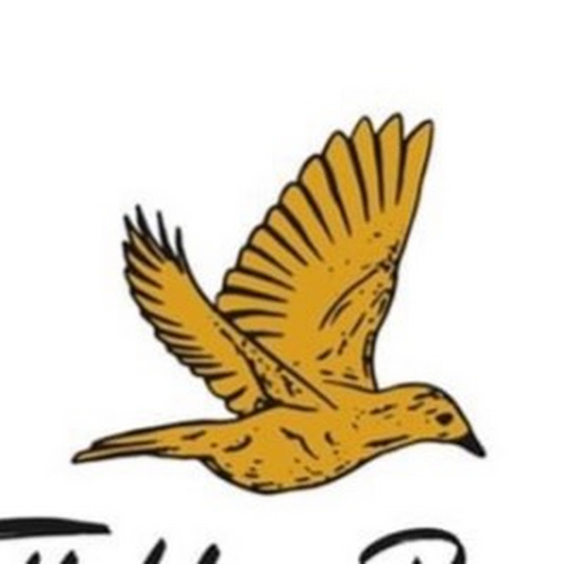 Tell The Birds Films icon
