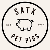 SATX Pet Pigs