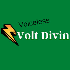 Voiceless Volt Divin net worth