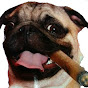 Political Pug logo