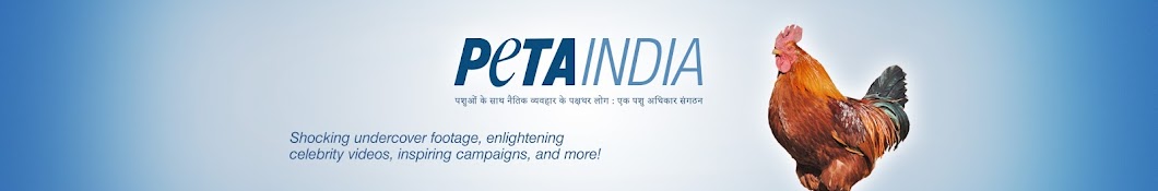 officialPETAIndia YouTube channel avatar