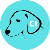 Chien Info