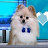 Amo Meu Pet Org