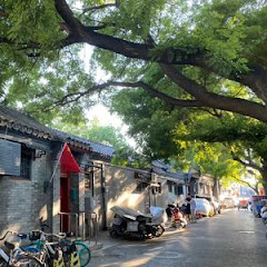 刘玥陪您看北京アイコン画像
