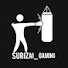 Surizai Gaming 