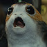 osXFfV8hZPU-channel-avatar-Galactic Puffin